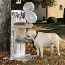 Wall Mounted Pet Feeder with Storage